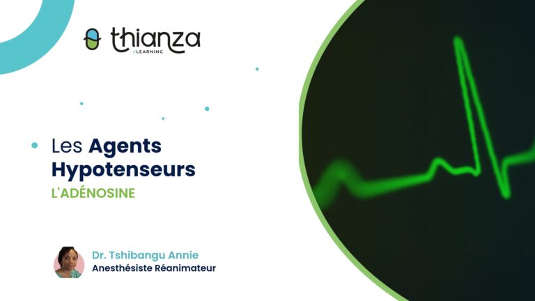 Les Agents Hypotenseurs – Adénosine