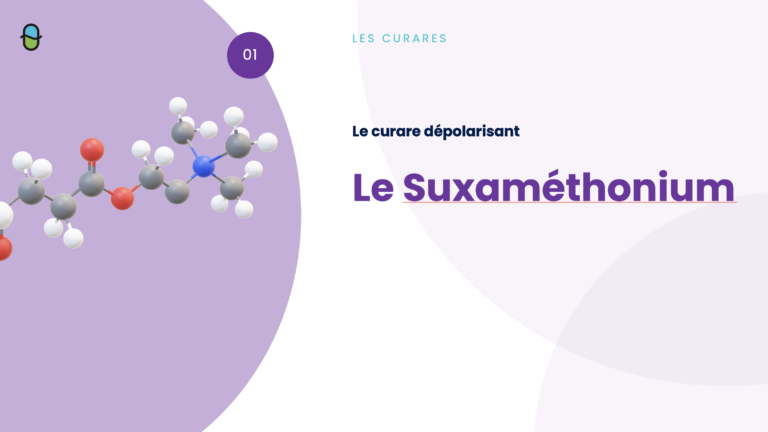 Les Curares – Suxaméthonium
