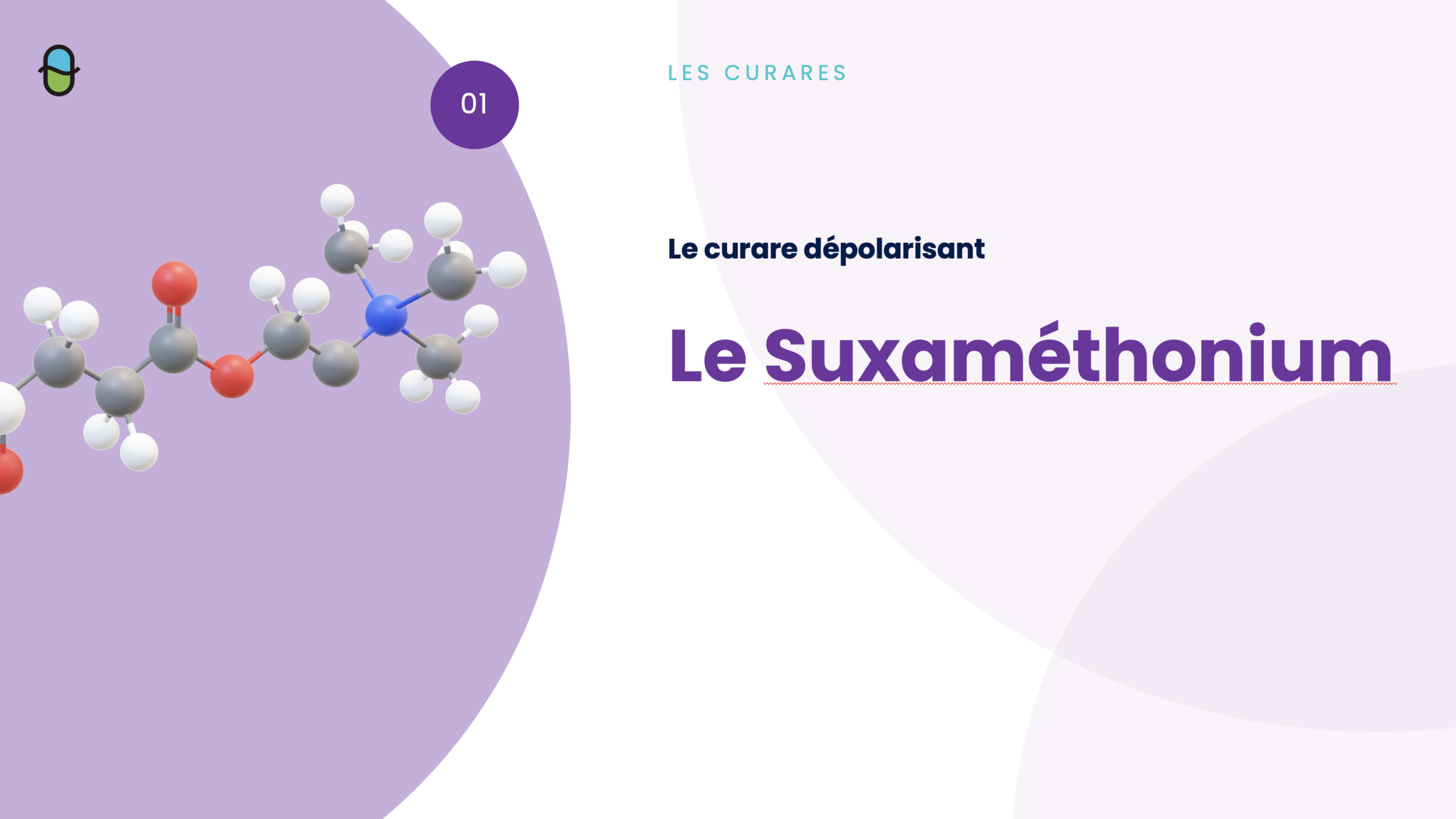 Les Curares – Suxaméthonium