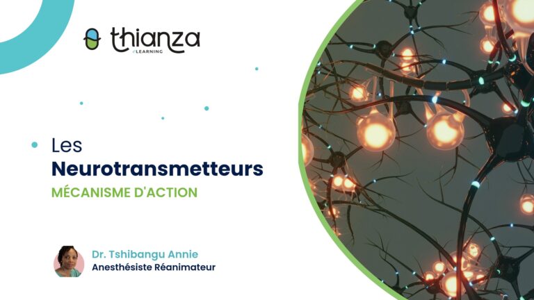 Les Neurotransmetteurs – Mécanisme d&rsquo;action