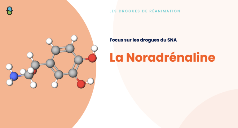SNA – Les Drogues de Réa. – Noradrénaline