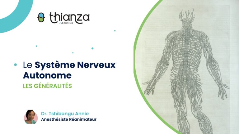 SNA – Les Généralités