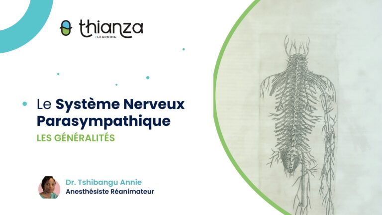 SNP – Les Généralités